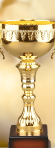 Awards Won By Tally TallyERP9Product