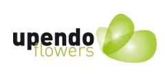 Upendo-Flowers-logo-removebg-preview